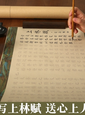 上林赋长卷初学者入门临摹套装临慕书法专用手写楷书字帖瘦金体毛笔练习贴洛神赋小楷描红字体兰亭序钢笔式