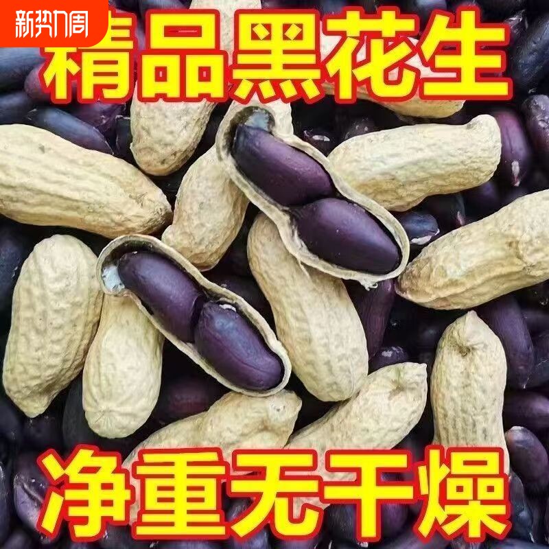 带壳黑花生农家自种黑皮花生紫皮花生米山东生选富硒新鲜晒干新货