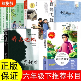 六年级下册必读课外书朱自清散文精选我与地坛史铁生着小灵通漫游未来叶永烈野蜂飞舞黄培佳重读那片绿油油的爬山虎肖复兴正版