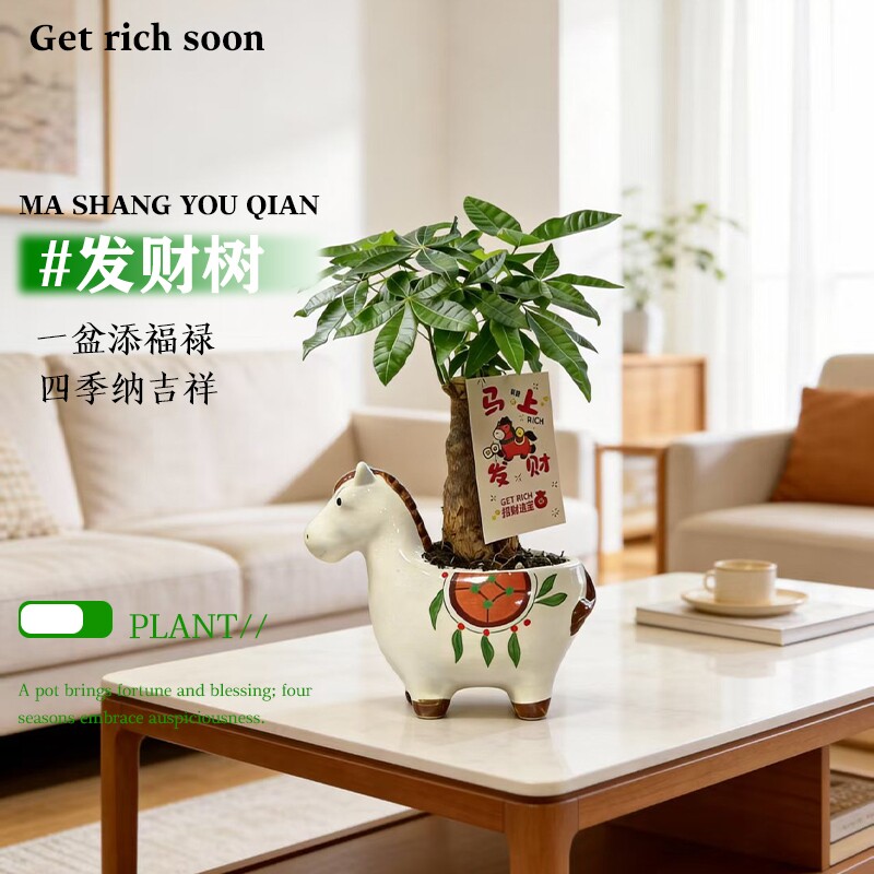 马上发财盆栽客厅招财树植物办公室内桌面绿植花创意手绘马花盆
