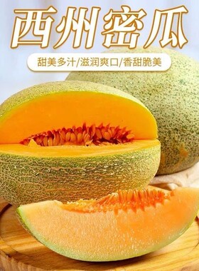 正宗海南哈密瓜新鲜薄皮西州蜜25号蜜瓜整箱应当季大果瓜孕妇可食