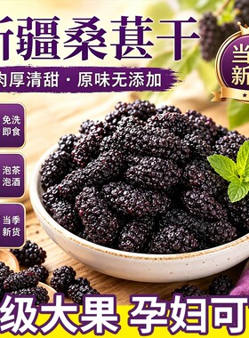 正宗新疆桑葚干黑桑椹特级子干果新货泡水喝茶泡酒专用官方旗舰店