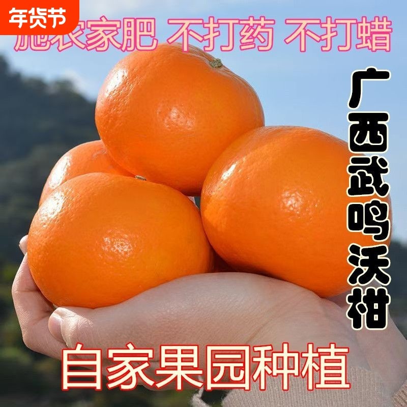 正宗广西武鸣沃柑橘子新鲜水果整箱斤柑橘现摘沙糖蜜橘砂糖大果,水产肉类/新鲜蔬果/熟食,桔子,淘宝优惠券,粉丝福利购,淘宝优惠卷