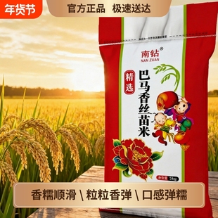 广西巴马香丝米梯田当季新米农家丝苗米口感弹糯新鲜煲仔饭