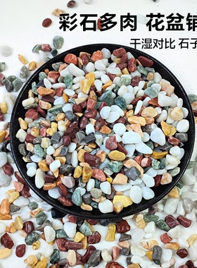 天然彩石多肉盆栽石子铺面鹅卵石鱼缸造景底砂种花装饰五彩小石头