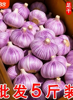 金乡紫皮大蒜蒜香味浓辛辣十足