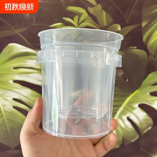 塑料花盆半透气外盆蝴蝶兰花套盆控根家用高透明水培镂空石斛花盆