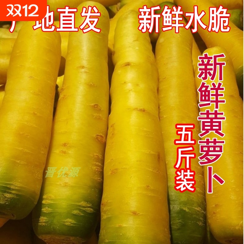 新鲜优质黄胡萝卜包邮手抓饭必备