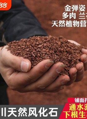 风化土颗粒风化石土壤盆景下山桩生根专用铺面通用型小叶多肉种植