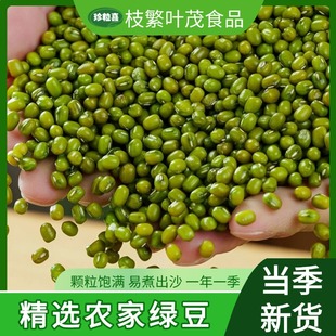 云南绿豆当季 新货农家绿豆发豆芽专用新鲜绿豆皮薄煲粥煲汤糕点