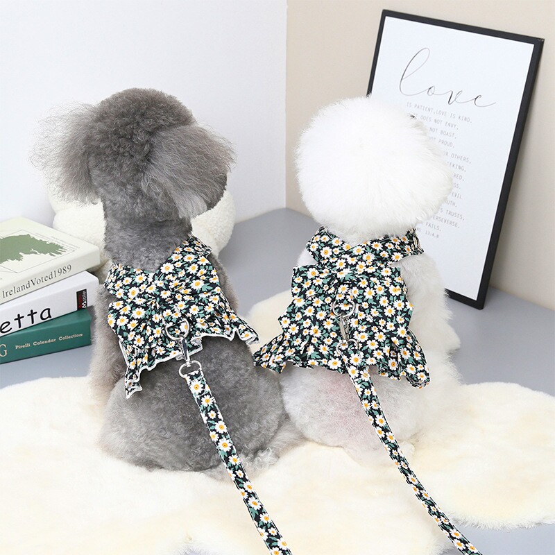 宠物衣服泰迪狗狗田园小菊裙可挂牵引绳中小型犬博美春夏小狗服饰