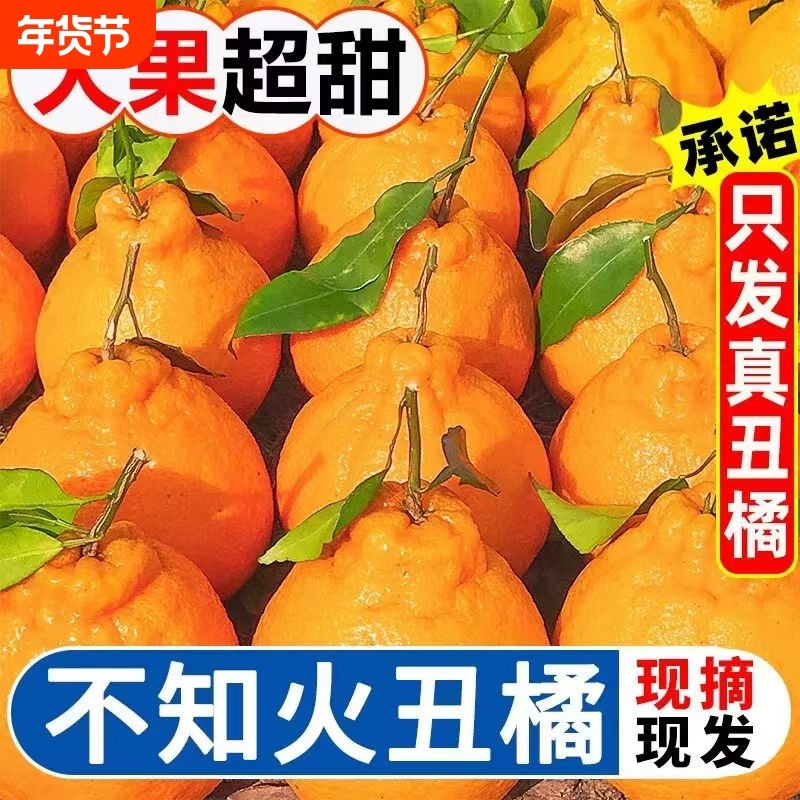 四川丑橘新鲜水果应当季耙耙桔子柑橘子正宗丑桔,水产肉类/新鲜蔬果/熟食,桔子,淘宝优惠券,粉丝福利购,淘宝优惠卷