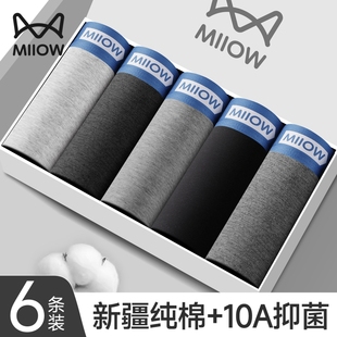 内裤 抗菌平角裤 纯棉男款 青少年运动大码 男生 四角2025新款 猫人男士