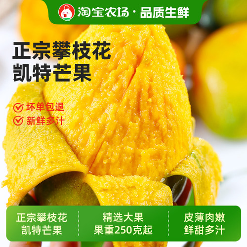 四川攀枝花凯特芒果新鲜水果澳芒青包邮青果当季应季农场大果正宗