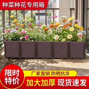 阳台种植箱长方形塑料花盆楼顶种菜专用箱室外种菜盆户外花箱庭院