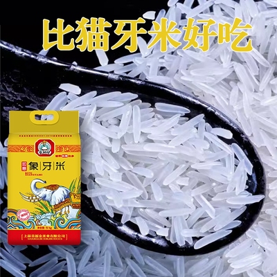 正宗象牙米广西生态大米长粒香米