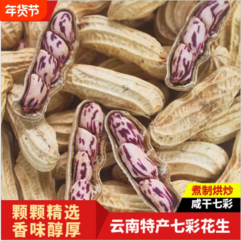 云南普洱特产七彩花生水煮咸干晒干五彩种牛奶花生新鲜带壳健康