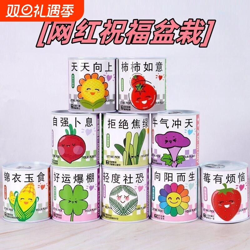 儿童罐头植物神奇桌面迷你绿植好养创意小盆栽种植草莓向日葵种子