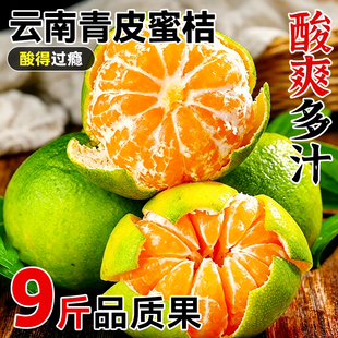 口感巨酸云南蜜桔新鲜现摘青皮橘子大果应季早熟桔子孕妇水果黄皮