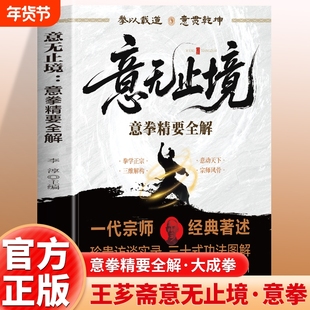 意无止境 意拳精要全解书正版 意无止境王芗斋站桩功拳学教程 大成拳站桩健身功法养生形意拳内家拳武学经典 中医健身书籍拳道中枢