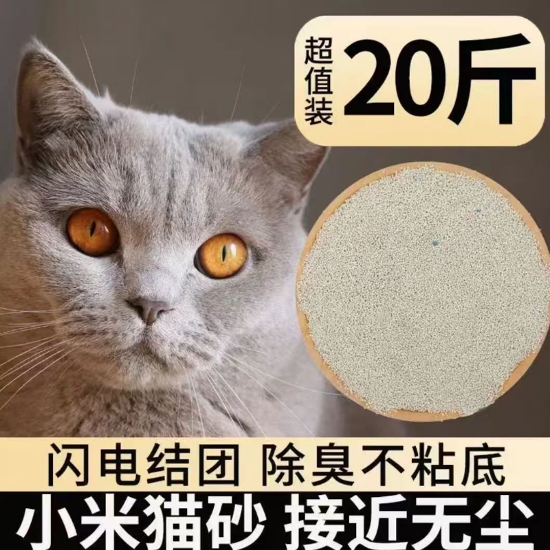 ԭζ 20 Сèɰ20ζԭζСèɰͳմ׽С 13.12Ԫ