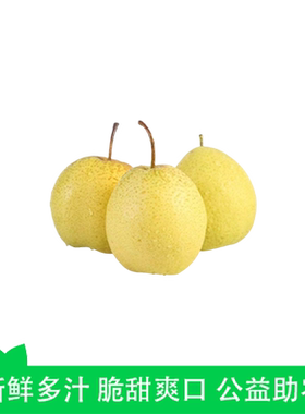 河北赵县雪花梨5斤装单果300g新鲜雪梨可口鲜甜梨子