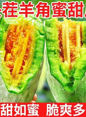 山东羊角蜜甜瓜3-4.5斤新鲜