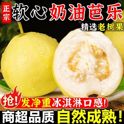 广东软糯奶油冰淇淋口感芭乐白心芭乐番石榴新鲜现摘水果脆甜芭乐
