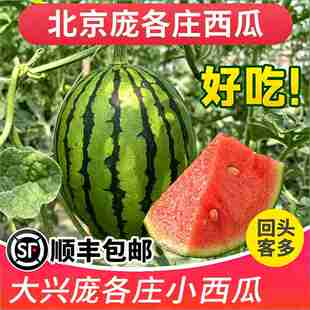 大兴庞各庄品种小西瓜迷你新鲜水果整箱礼盒彩箱应季当季时令优选