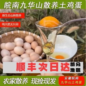 正宗九华山散养土鸡蛋乌鸡蛋顺丰