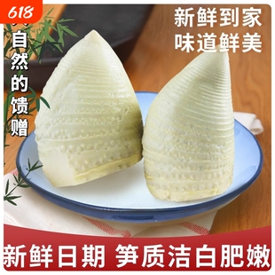 江西特产冬笋尖新鲜嫩笋春笋竹笋罐头农家现挖嫩笋子袋装泡椒