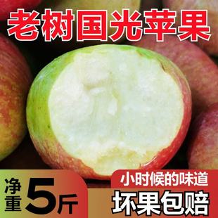 东北小国光苹果酸甜脆正宗老树孕妇新鲜水果批发青苹果2斤5/10斤