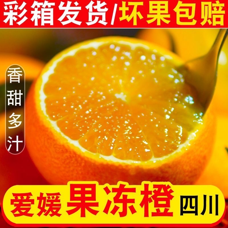 爱媛果冻橙38号新鲜|115人收藏