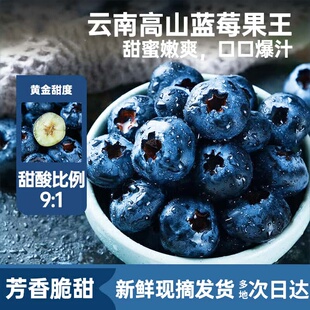 云南花香蓝莓 新鲜蓝梅鲜果水果高山L25送礼品物盒 多地次日达