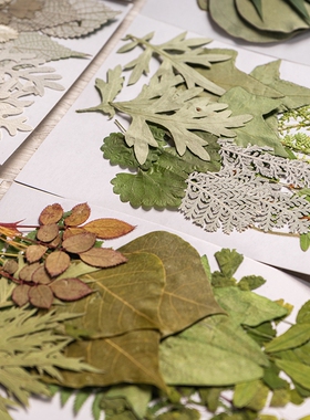 儿童diy绿叶材料包组合包手工材料花瓣妆拍摄道具真树叶标本贴花