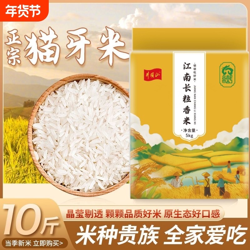 清香新米猫牙米早稻长粒香米油粘米农家米当季软糯原生态大米10斤