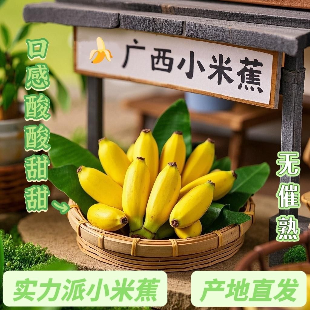 广西小米蕉新鲜农家自种小香蕉小米蕉现摘软糯香甜自然成熟