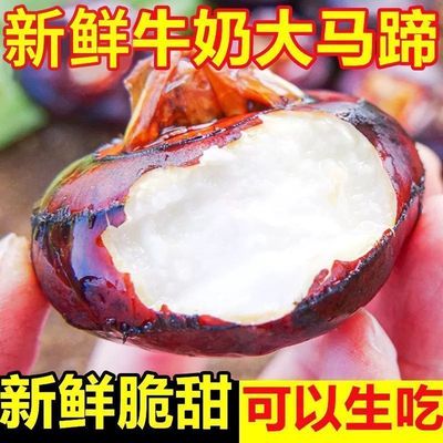 新鲜荸荠马蹄地栗地梨农家水果蔬菜红应季马蹄果5斤现挖脆甜多汁