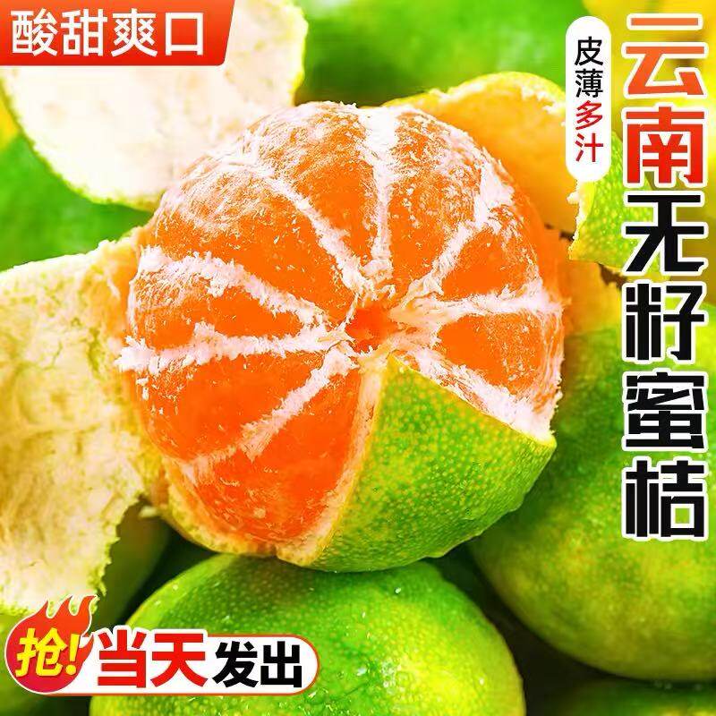时令云南无籽青皮蜜桔水果橘子5斤整箱包邮新鲜产地蜜橘现摘酸甜