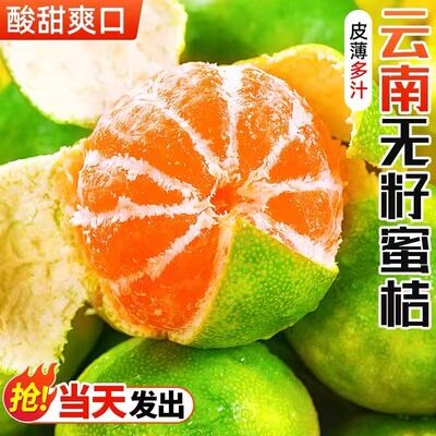 云南无籽青皮蜜桔水果橘子5斤整箱包邮新鲜采摘产地直发蜜橘现摘