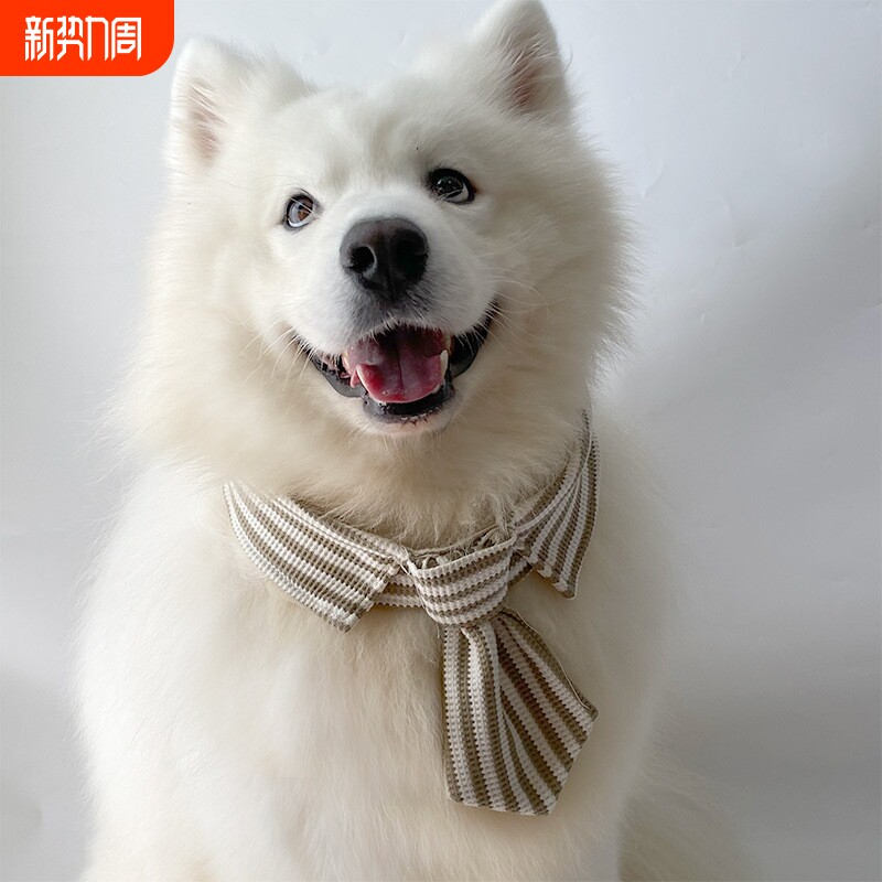 宠物狗狗棕色条纹领结萨摩耶拉布拉多大中小型犬领巾领结拍摄装饰