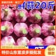 特价 2024新蒜山东紫皮大蒜头红皮香蒜多瓣蒜泡蒜批发湿蒜鲜蒜