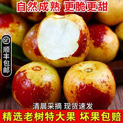 冬枣新鲜脆甜冰糖特大枣子红枣当季水果顺丰产自陕西大荔