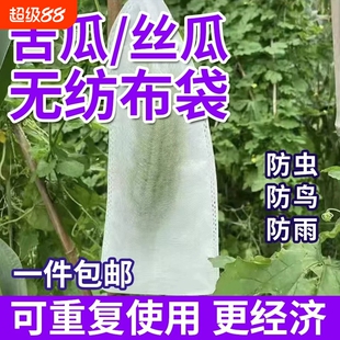 苦瓜丝瓜防虫套袋无纺布专用青黄瓜果水瓜网透气果蝇针蜂葡萄防鸟