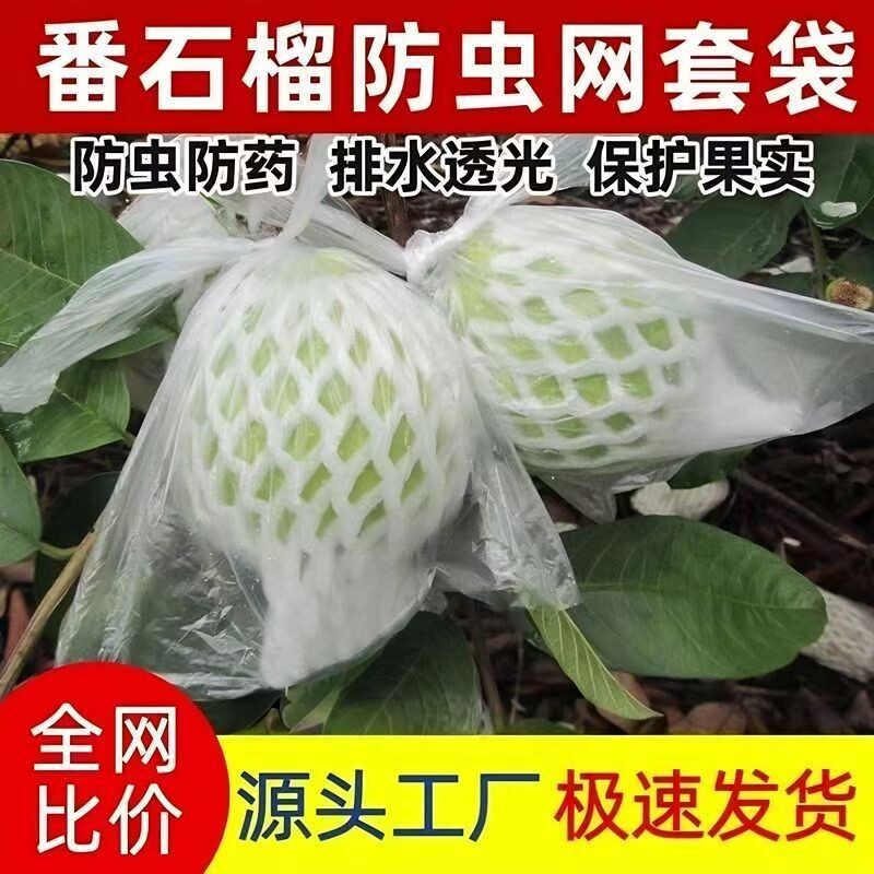 番石榴网套袋水果防虫一体袋芭乐套袋泡沫保护袋胶袋番石榴防虫袋