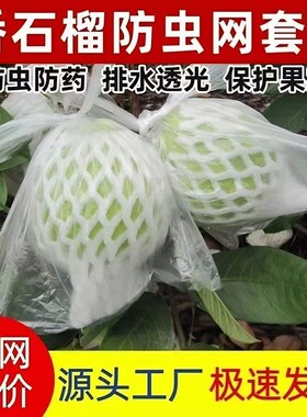 番石榴网套袋水果防虫一体袋芭乐套袋泡沫保护袋胶袋番石榴防虫袋