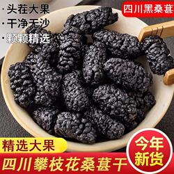精选免洗桑葚干500g攀枝花大果免洗黑桑葚子干净无沙正品黑桑椹干