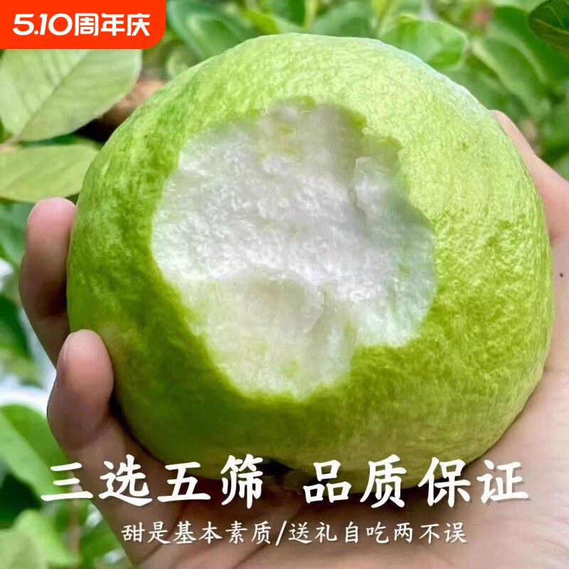 广东脆口番石榴新鲜芭乐白心硬脆低糖非孕妇当季水果批发礼盒装