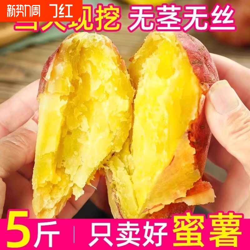 正宗蜜薯龙九沙地红心现挖黄心番薯新鲜糖心地瓜板栗红薯山芋批发