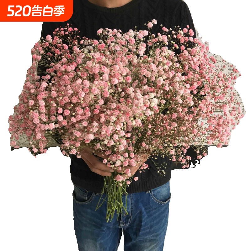 满天星勿忘我干花花束家居摆设客厅装饰摆件永生花鲜花情人节大束